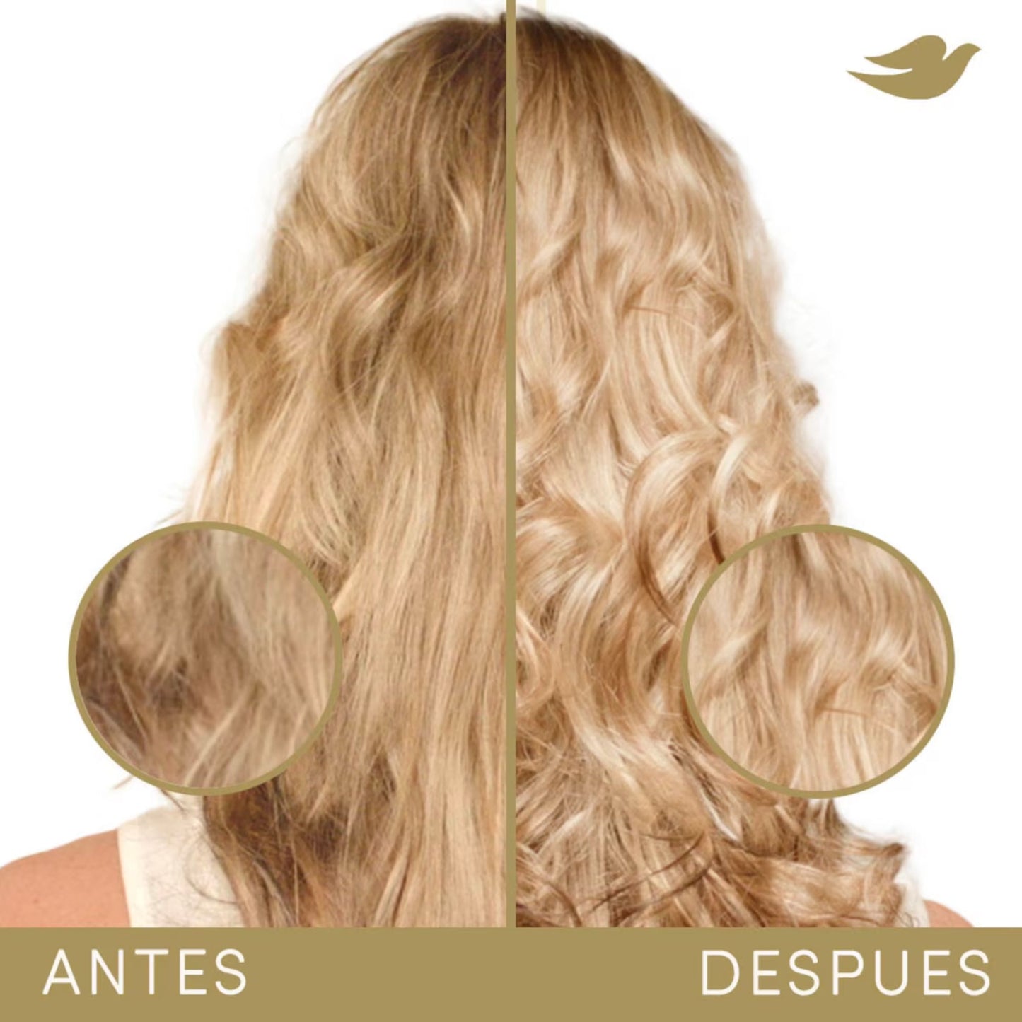 Dove Shampoo Bond Intense Repair