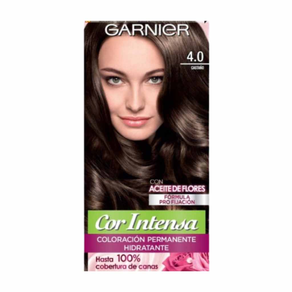 Garnier Cor Intensa 4.0 Castaño