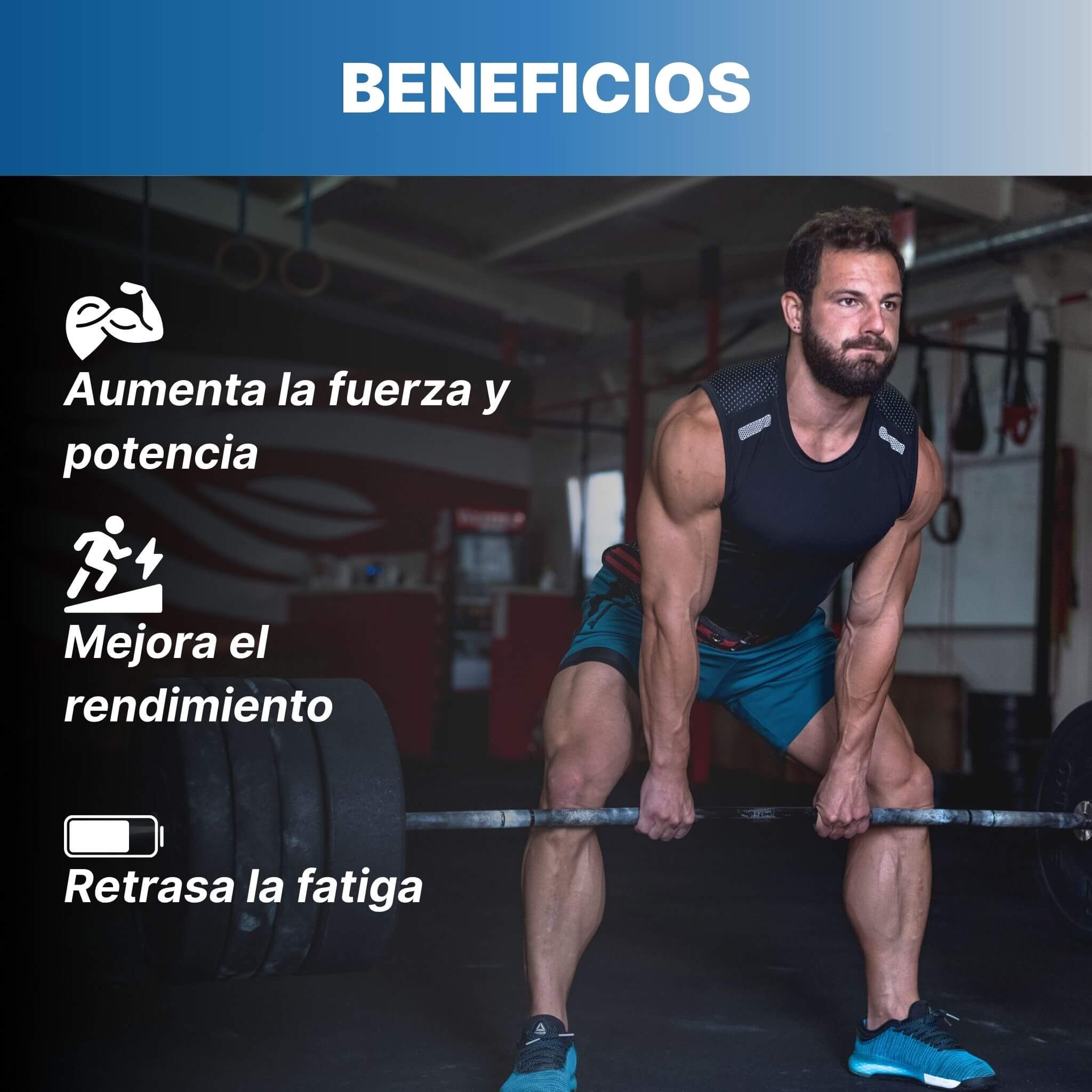 Creatina Monohidratada Cibeles 350 Gr