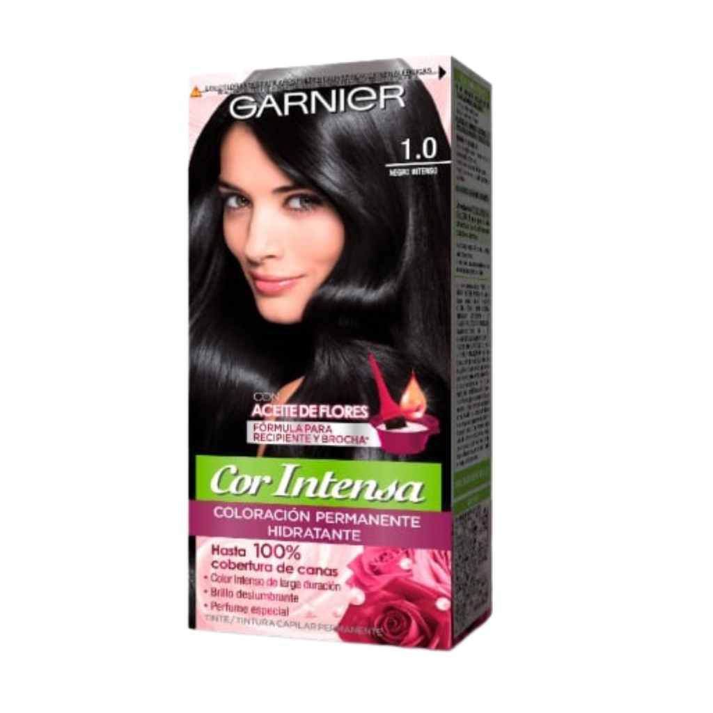 Garnier Cor Intensa 1.0 Negro Intenso