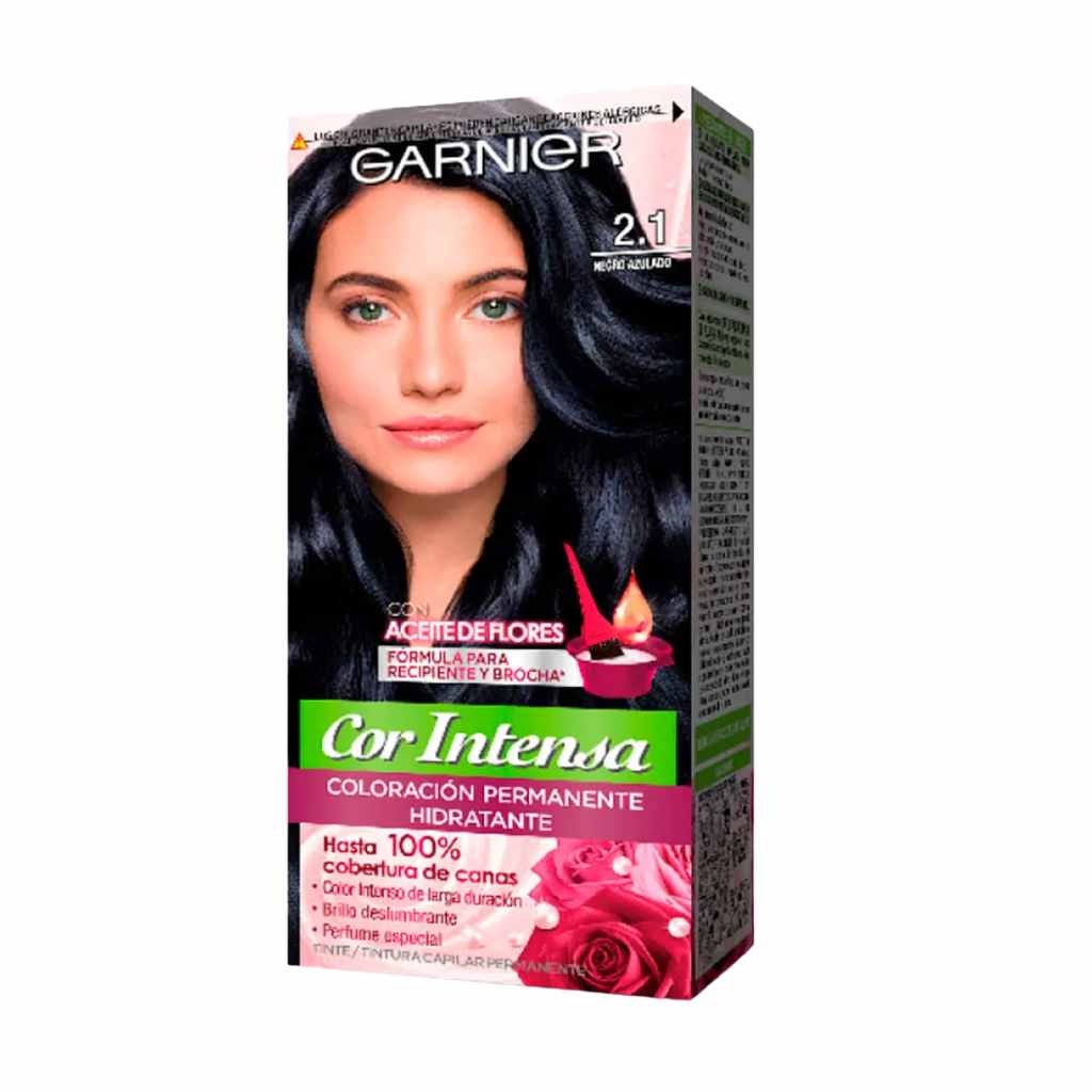 Garnier Cor Intensa 2.1 Negro Azulado