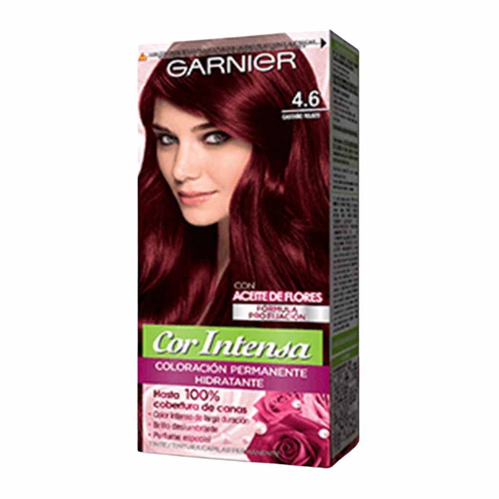 Garnier Cor Intensa 4.6 Castaño Rojizo
